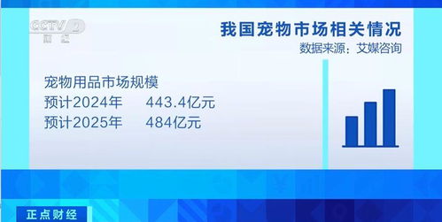 全球化视角下的互联网新闻信息服务 变革、挑战与未来路径